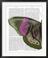 Framed Butterfly in Green and Pink a