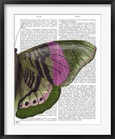 Framed Butterfly in Green and Pink b