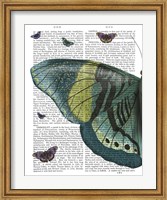 Framed Butterfly in Turquoise and Yellow a