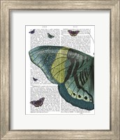 Framed Butterfly in Turquoise and Yellow a