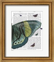 Framed Butterfly in Turquoise and Yellow b