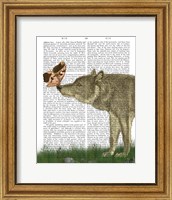 Framed Wolf and Moth