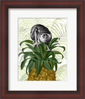 Framed Loris on Pineapple