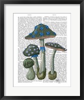 Framed Psychedelic Mushrooms 1