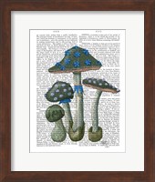Framed Psychedelic Mushrooms 1