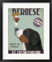 Framed Bernese Ice Cream