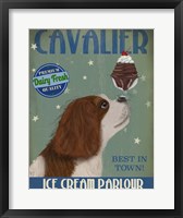 Framed Cavalier King Charles, Brown White, Ice Cream