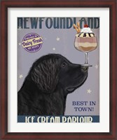 Framed Newfoundland Ice Cream