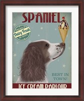 Framed Springer Spaniel, Brown and White, Ice Cream
