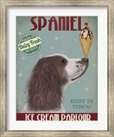 Framed Springer Spaniel, Brown and White, Ice Cream