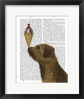 Framed Border Terrier Ice Cream