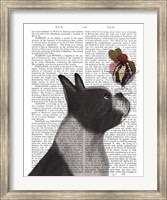 Framed Boston Terrier Ice Cream