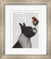 Framed Boston Terrier Ice Cream