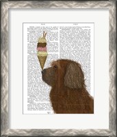 Framed Labradoodle, Brown, Ice Cream