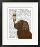 Framed Labradoodle, Brown, Ice Cream