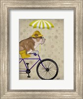 Framed English Bulldog on Bicycle