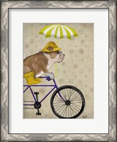Framed English Bulldog on Bicycle