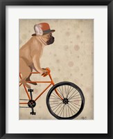 Framed French Bulldog on Bicycle