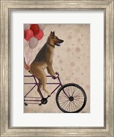 Framed German Shepherd on Bicycle
