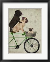 Framed Pugs on Bicycle