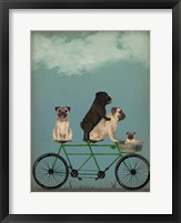 Framed Pug Tandem