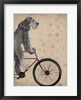 Framed Schnauzer on Bicycle, Grey