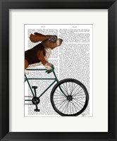 Framed Basset Hound on Bicycle