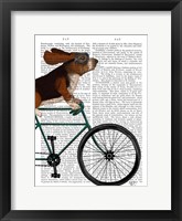 Framed Basset Hound on Bicycle