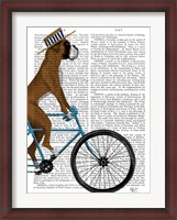 Framed Boxer on Bicycle