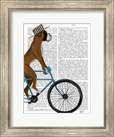 Framed Boxer on Bicycle