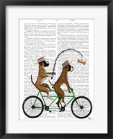 Framed Boxer Tandem