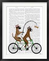 Framed Boxer Tandem