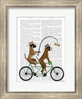 Framed Boxer Tandem