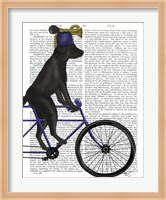 Framed Black Labrador on Bicycle