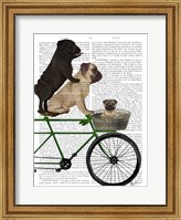 Framed Pugs on Bicycle