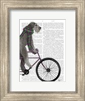 Framed Schnauzer on Bicycle, Grey