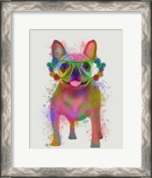 Framed Rainbow Splash French Bulldog, Full