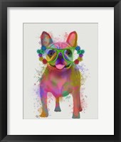 Framed Rainbow Splash French Bulldog, Full