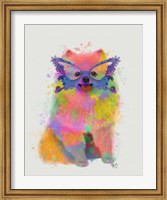 Framed Rainbow Splash Pomeranian