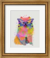 Framed Rainbow Splash Pomeranian