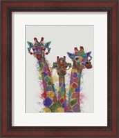 Framed Rainbow Splash Giraffe Trio