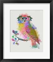 Framed Rainbow Splash Owl