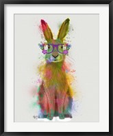 Framed Rainbow Splash Rabbit 1