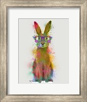 Framed Rainbow Splash Rabbit 1