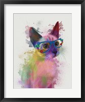 Framed Rainbow Splash Cat 2