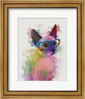 Framed Rainbow Splash Cat 2