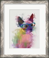 Framed Rainbow Splash Cat 2