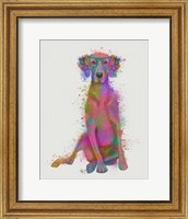 Framed Rainbow Splash Weimaraner, Full