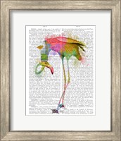 Framed Rainbow Splash Flamingo 4