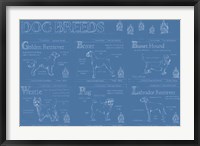 Framed Dog Breeds Infograph